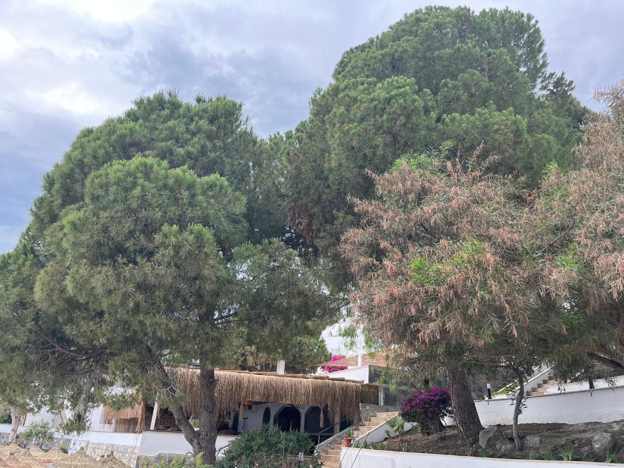 Holiday Inn Resort Bodrum By Ihg Kültér fotó